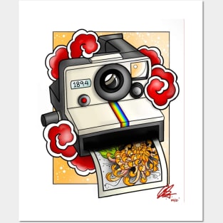 Polaroid Posters and Art